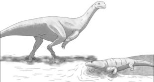 Палеонтологи в Зимбабве открыли ранее неизвестный вид динозавров