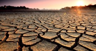 Nature Climate Change: американские технологии вызывают засуху в Европе