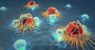 Ученые нашли ген, «помогающий» раковым клеткам распространяться в организме