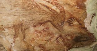 Ученые обнаружили древнейшую историю на наскальных рисунках Индонезии