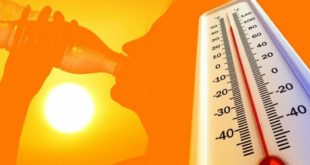 «Историческая жара» грозит более чем 130 миллионам человек