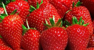 Ученые объяснили, какие ягоды снижают риск сердечных заболеваний