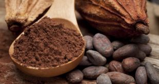 Nutrients: какао способно снижать риск ишемической болезни сердца и инсульта