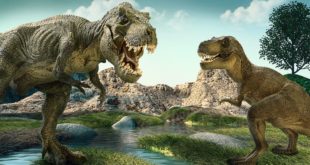 Daily Mail: тираннозавры были на 70 процентов больше, чем считали ученые ранее